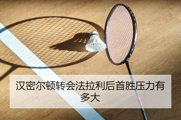 han-mi-er-dun-zhuan-hui-fa-la-li-hou-shou-sheng-ya-li-you-duo-da-2-710.jpg